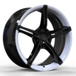 Tesery Dual-Aura Forged wheels for Tesla Model 3/S/Y
