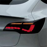 TESERY Dragon Scale Tail Lights for Model 3/Y - Image 3